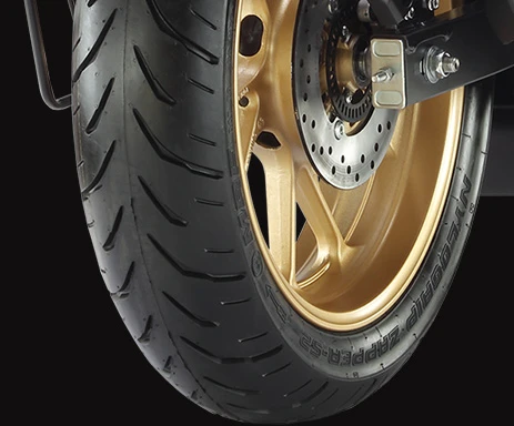 Yamaha FZS 25 tyres and brakes
