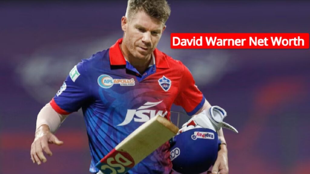 Net Worth of David Warner